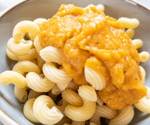 Insanely Easy Butternut Squash Pasta Sauce