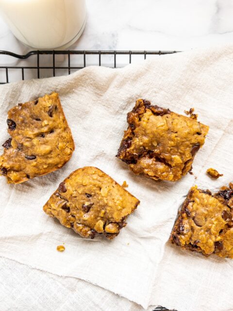 Chocolate Chip Pumpkin Oat Bars